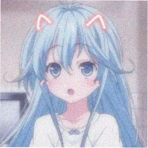 观众阿岚的头像